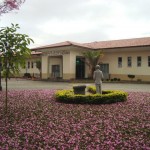 Hospital Antoninho da Rocha Marmo completa 60 anos de fundação