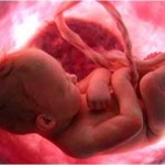 Dia do Nascituro encerra Semana Nacional da Vida