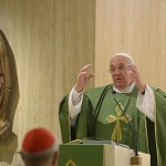 Papa pede que todos trabalhem pela unidade da Igreja