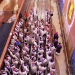 Clero de 39 cidades paulistas realiza romaria conjunta ao Santuário de Aparecida