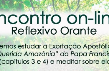 Comissão Socioambiental promove encontro on-line de reflexão sobre a "Querida Amazônia"