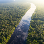 Em nota, CNBB denuncia gravidade de Projeto que institui nova Lei Geral do Licenciamento Ambiental