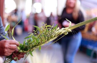 América Latina: carta dos bispos para a Semana Santa
