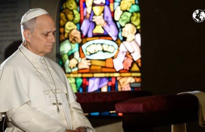 Leão XIV convida a rezar pelos sacerdotes em crise