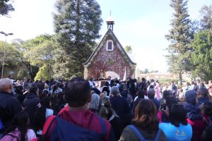 Romaria da Diocese de São José dos Campos reúne peregrinos em dia de fé no Santuário da Mãe e Rainha