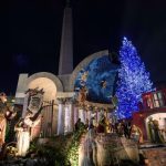 Natal 2026: crianças doentes decorarão a árvore na Praça São Pedro