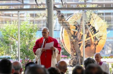 Papa entregará em outubro a primeira “Medalha Leão XIV para a Sustentabilidade”