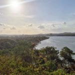 Amazônia, recorde positivo: área queimada atinge o menor nível desde 1985