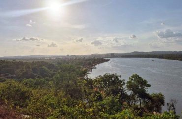 Amazônia, recorde positivo: área queimada atinge o menor nível desde 1985