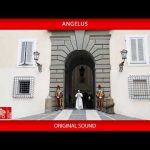 Angelus: onde termina a nossa lógica, começa a confiança. Pedro e a difícil aprendizagem da fé