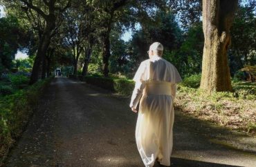 Papa: a paz começa no coração e se estende ao cuidado da criação